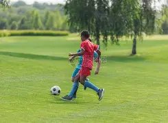 世界乒联真,相揭晓,网友热议,中国双赢彩票网,足彩竞猜,双赢彩票网,体彩竞猜